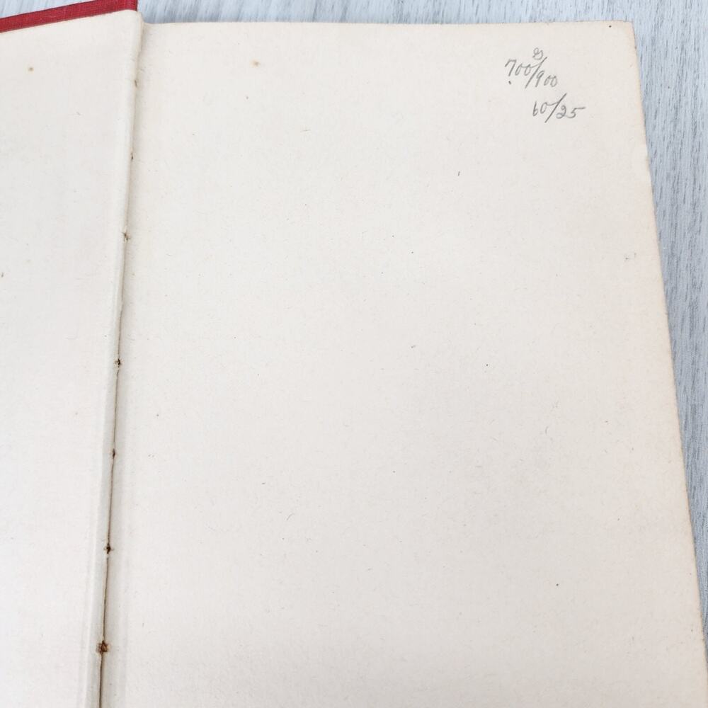 Vtg Book 1930: The Sky Detectives Ambrose Newcomb How Jack Ralston Got His Man - Picture 6 of 15